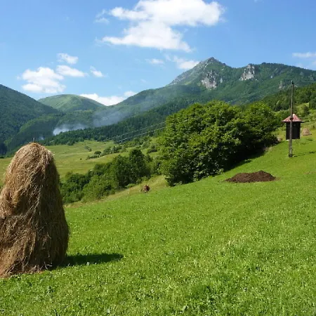 펜션 Holiday *